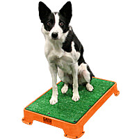 Cato Board Training Platform - Turf Surface